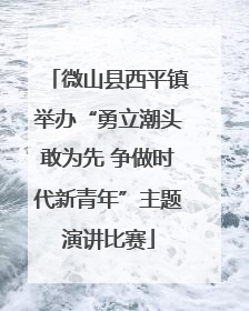 微山县西平镇举办“勇立潮头敢为先 争做时代新青年”主题演讲比赛