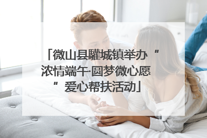 微山县驩城镇举办“浓情端午·圆梦微心愿”爱心帮扶活动