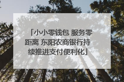 小小零钱包 服务零距离 东阳农商银行持续推进支付便利化