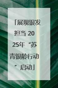 展现银发担当 2025年“苏青银龄行动”启动