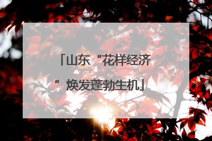 山东“花样经济”焕发蓬勃生机
