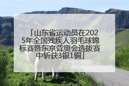 山东省运动员在2025年全国残疾人羽毛球锦标赛暨东京聋奥会选拔赛中斩获3银1铜