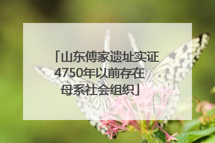 山东傅家遗址实证4750年以前存在母系社会组织