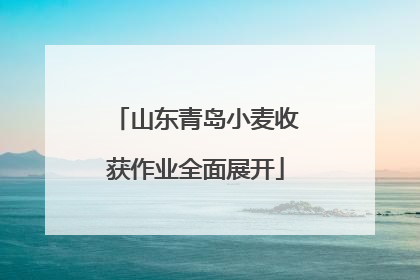 山东青岛小麦收获作业全面展开
