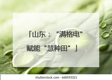 山东：“满格电”赋能“慧种田”