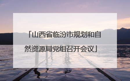 山西省临汾市规划和自然资源局党组召开会议