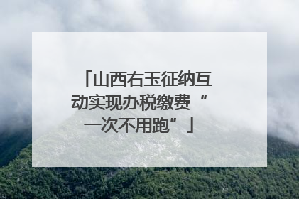 山西右玉征纳互动实现办税缴费“一次不用跑”