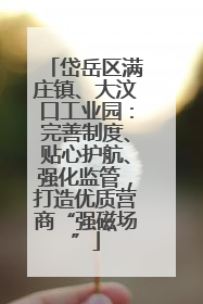岱岳区满庄镇、大汶口工业园：完善制度、贴心护航、强化监管，打造优质营商“强磁场”