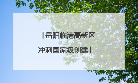 岳阳临港高新区冲刺国家级创建