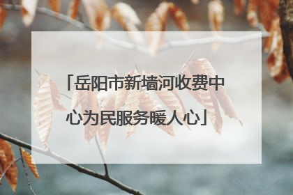 岳阳市新墙河收费中心为民服务暖人心