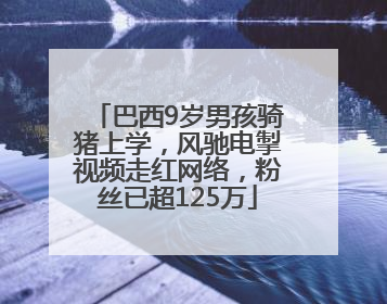 巴西9岁男孩骑猪上学，风驰电掣视频走红网络，粉丝已超125万