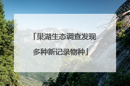 巢湖生态调查发现多种新记录物种