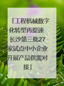 工程机械数字化转型再提速 长沙第三批27家试点中小企业开展产品供需对接