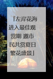 左岸花海进入最佳观赏期 邀市民共赏夏日繁花盛景
