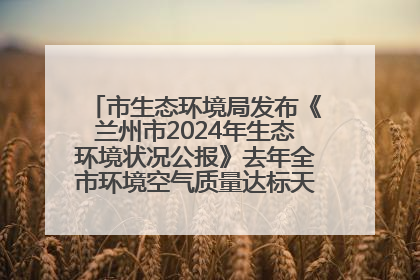 市生态环境局发布《兰州市2024年生态环境状况公报》去年全市环境空气质量达标天数301天