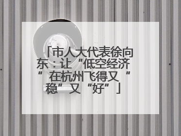 市人大代表徐向东：让“低空经济”在杭州飞得又“稳”又“好”