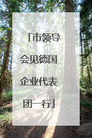 市领导会见德国企业代表团一行