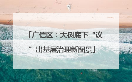 广信区：大树底下“议”出基层治理新图景
