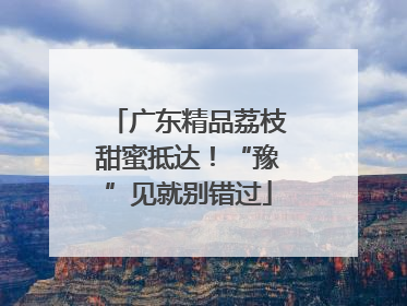 广东精品荔枝甜蜜抵达！“豫”见就别错过