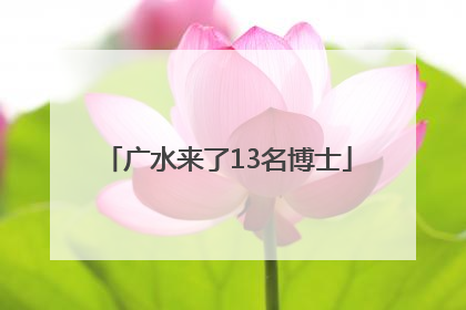 广水来了13名博士