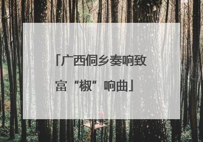 广西侗乡奏响致富“椒”响曲