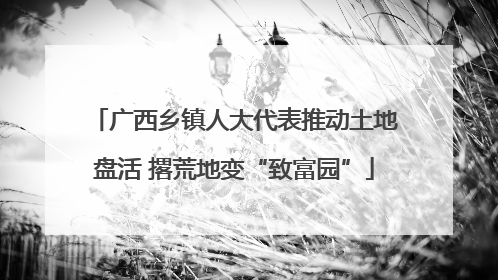 广西乡镇人大代表推动土地盘活 撂荒地变“致富园”