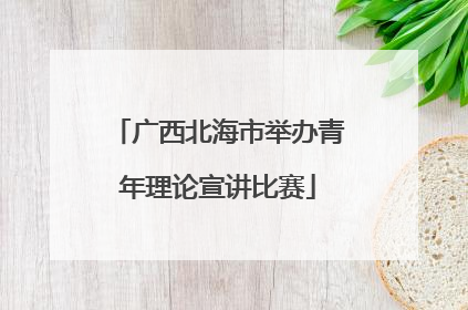 广西北海市举办青年理论宣讲比赛