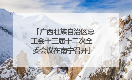 广西壮族自治区总工会十三届十二次全委会议在南宁召开