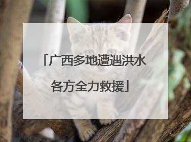 广西多地遭遇洪水 各方全力救援