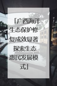 广西海洋生态保护修复成效显著 探索生态惠民发展模式