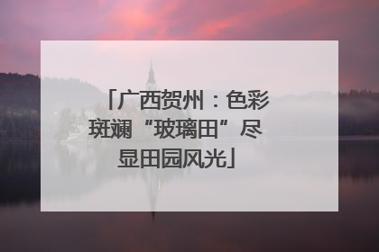 广西贺州：色彩斑斓“玻璃田”尽显田园风光