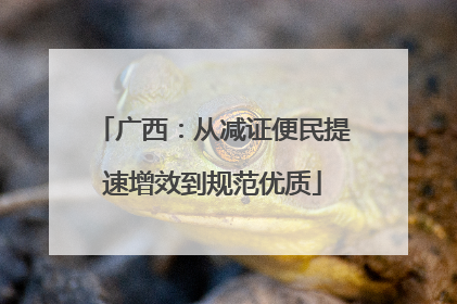 广西：从减证便民提速增效到规范优质