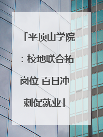 平顶山学院：校地联合拓岗位 百日冲刺促就业