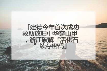 建德今年首次成功救助放归中华穿山甲，浙江破解“活化石”续存密码