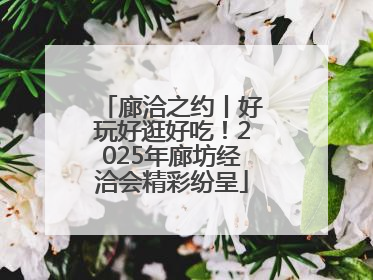 廊洽之约丨好玩好逛好吃！2025年廊坊经洽会精彩纷呈