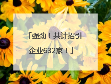 强劲！共计招引企业632家！