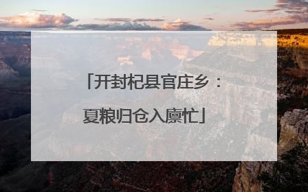 开封杞县官庄乡：夏粮归仓入廪忙