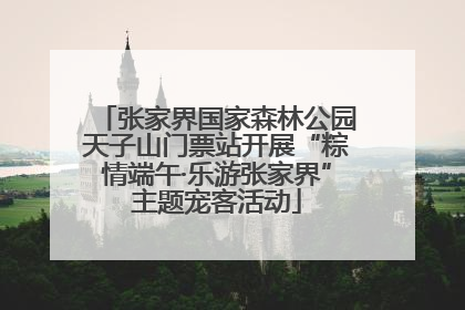张家界国家森林公园天子山门票站开展“粽情端午·乐游张家界”主题宠客活动
