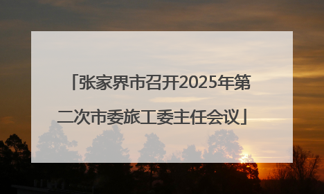 张家界市召开2025年第二次市委旅工委主任会议