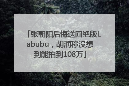 张朝阳后悔送回绝版Labubu，胡润称没想到能拍到108万