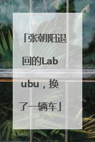 张朝阳退回的Labubu，换了一辆车