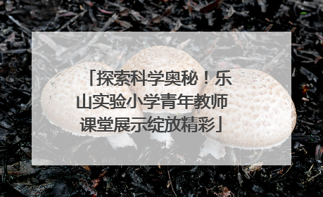 探索科学奥秘！乐山实验小学青年教师课堂展示绽放精彩