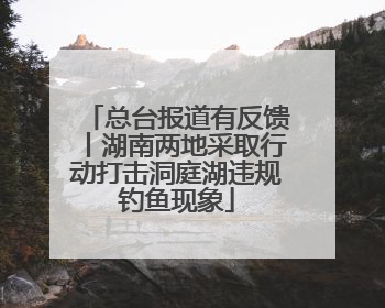 总台报道有反馈丨湖南两地采取行动打击洞庭湖违规钓鱼现象