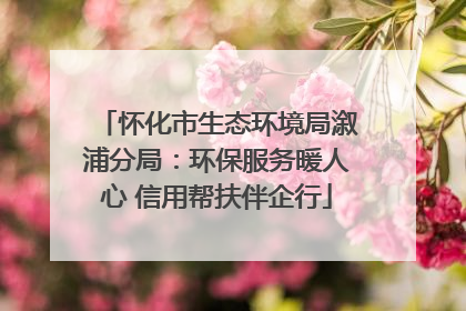 怀化市生态环境局溆浦分局：环保服务暖人心 信用帮扶伴企行