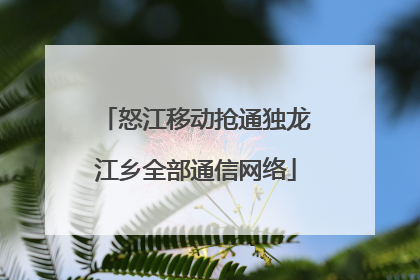 怒江移动抢通独龙江乡全部通信网络