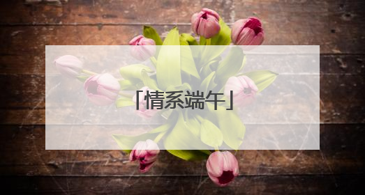 情系端午