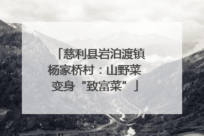 慈利县岩泊渡镇杨家桥村：山野菜变身“致富菜”
