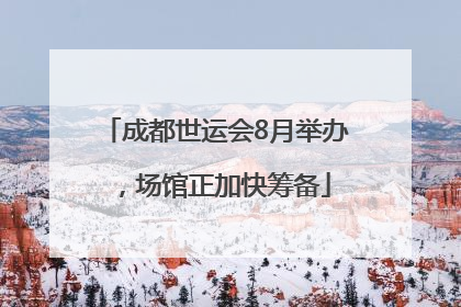 成都世运会8月举办，场馆正加快筹备