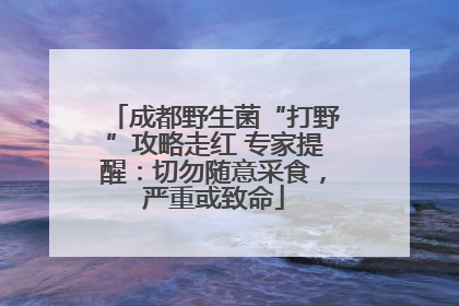 成都野生菌“打野”攻略走红 专家提醒：切勿随意采食，严重或致命