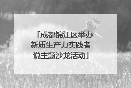 成都锦江区举办新质生产力实践者说主题沙龙活动